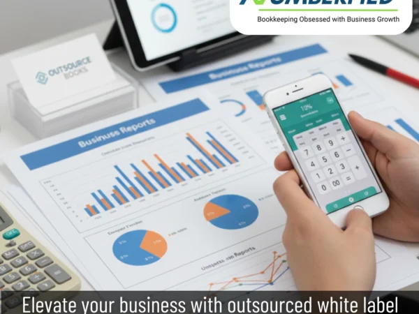 Pic of professional setup, charts and graphs on desk, mobile in hands, providing Outsourced White Label Bookkeeping Services.