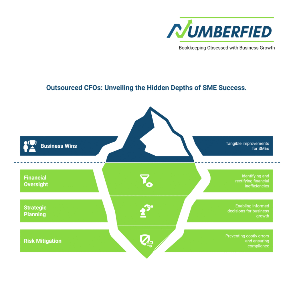 Outsourced CFO for SMEs