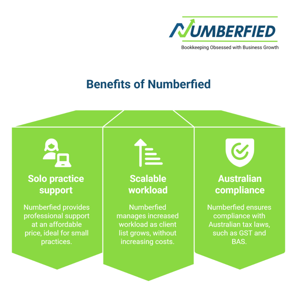 Support for Solo Accountants