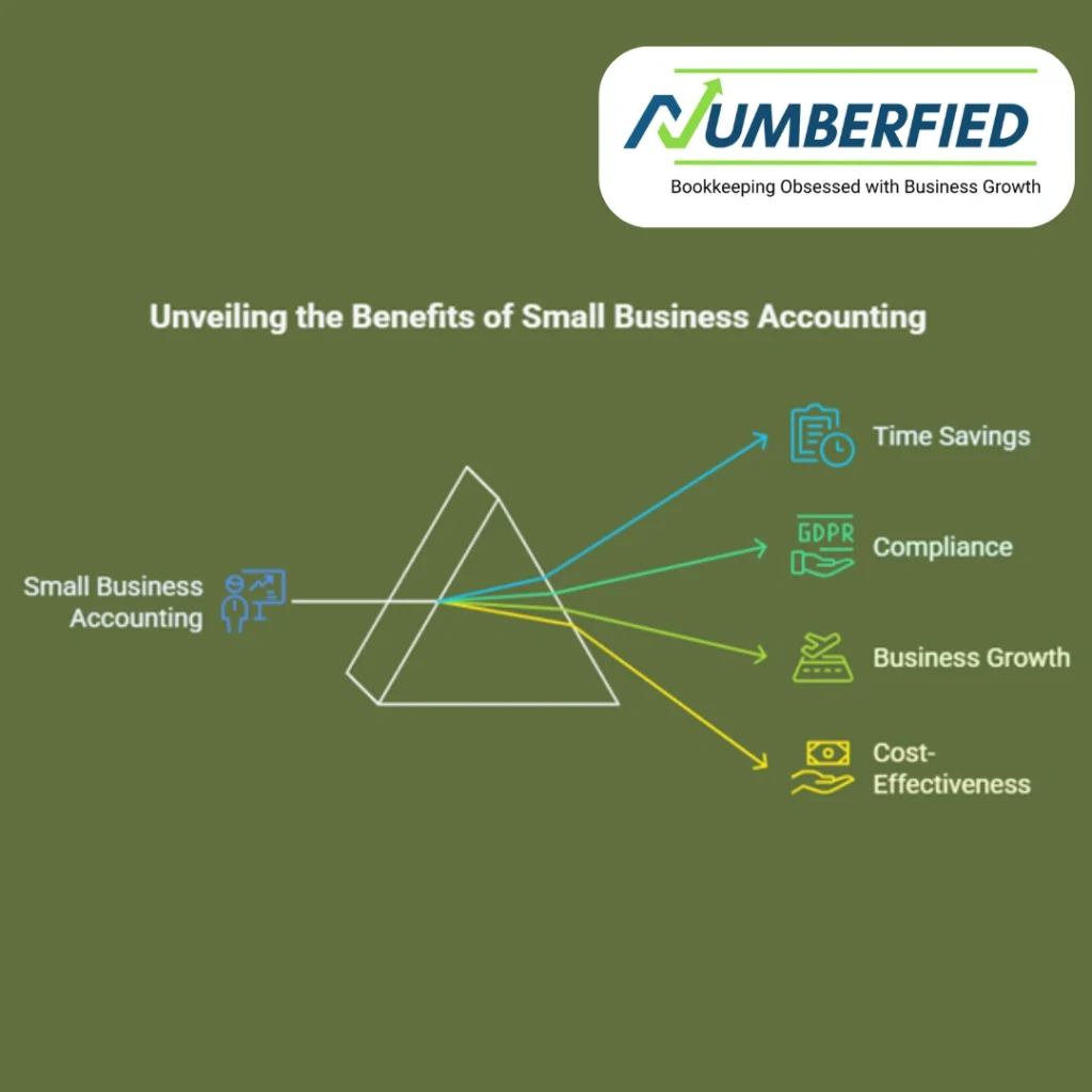 small business accounting help