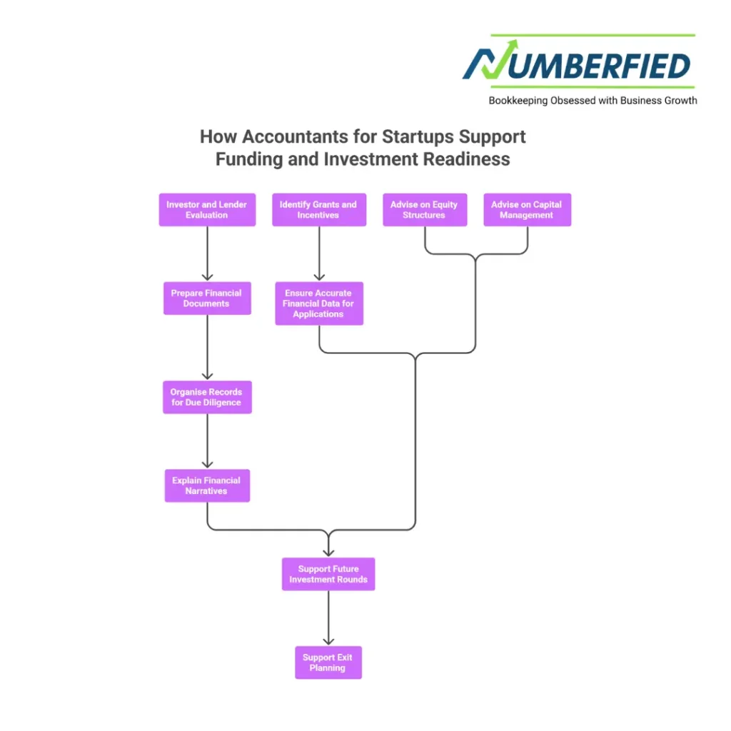 accountants for startups