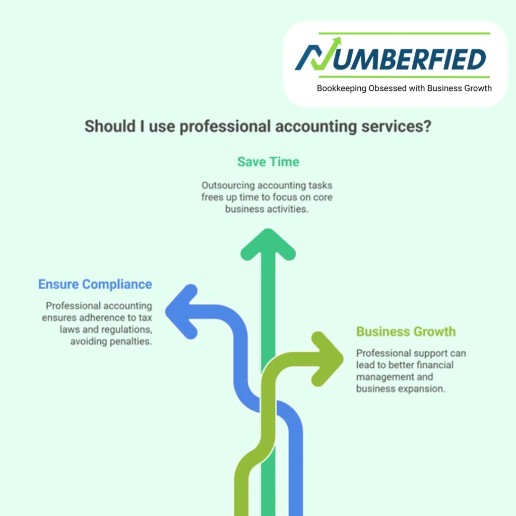 visuals explaining perks of using professional accounting services.