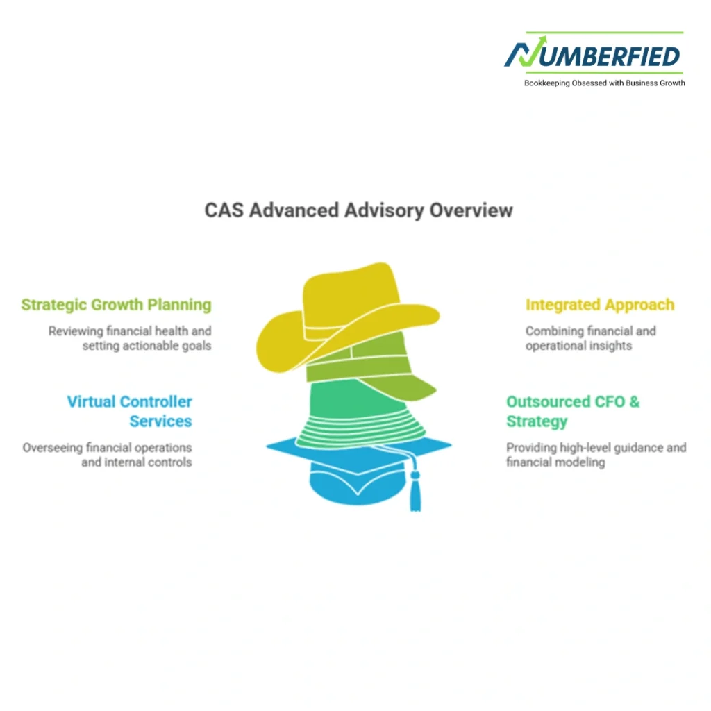 What is CAS Accounting The Shift from Number Crunching to Strategic Growth infographic