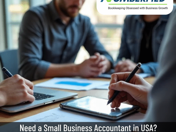 Small Business Accountant in USA